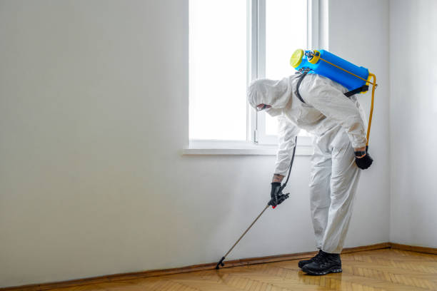 Best Pest Control for Multi-Family Homes  in Thornville, OH